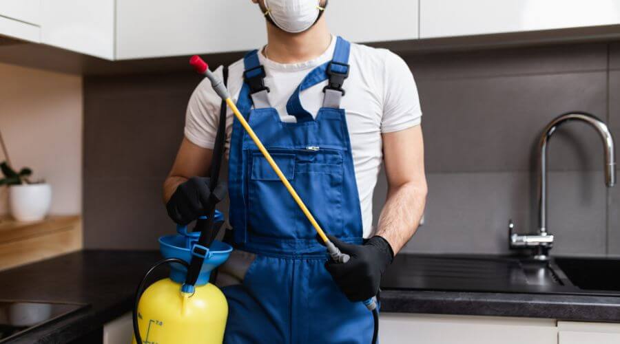 Why choose Termite Inspection Dava‑Lakeshore for termite inspection in Dava‑Lakeshore